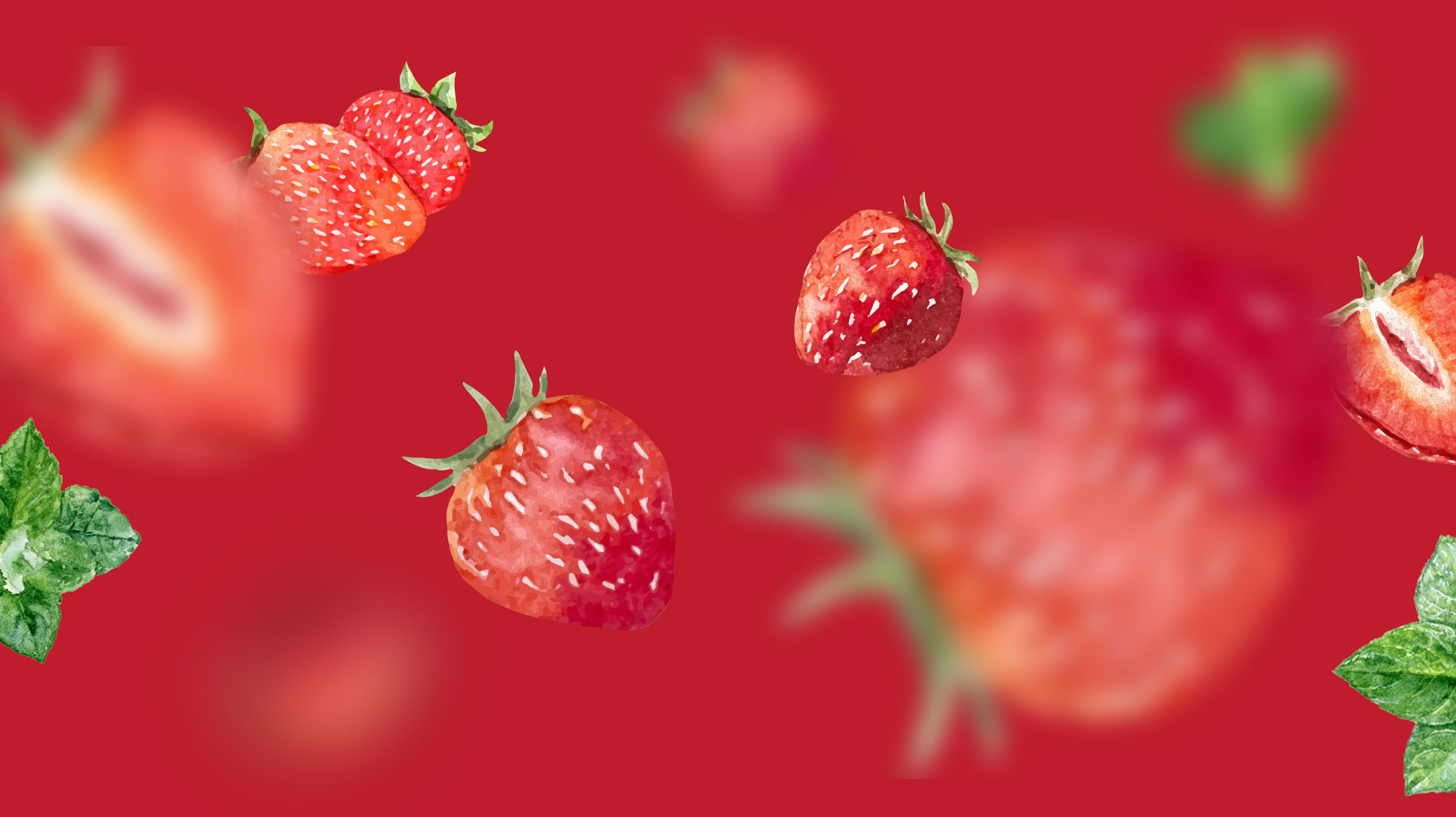 Loyal-Tea-Featured-Image